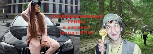 Альфа ПВП Ростов