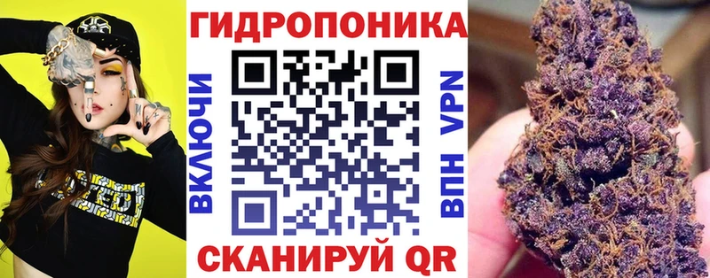 сайты даркнета формула  где можно купить   Правдинск  Канабис ГИДРОПОН 